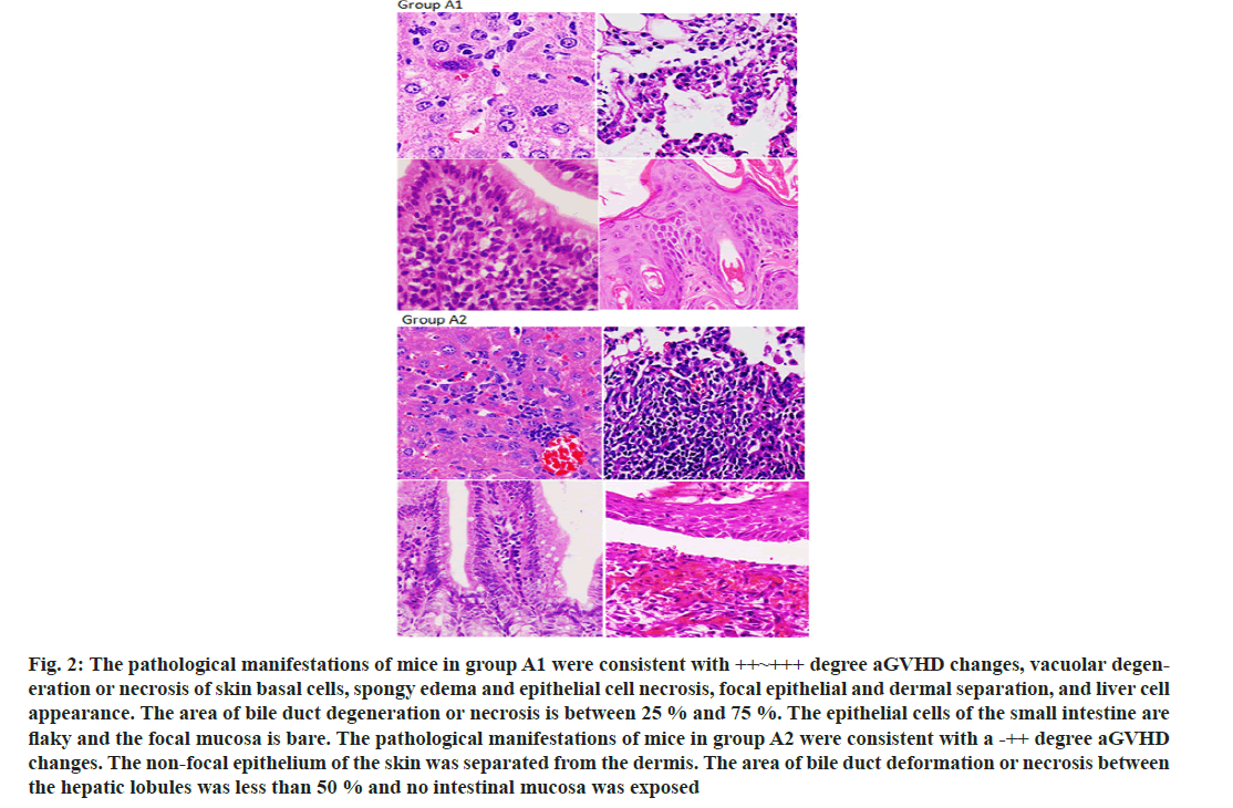 pharmaceutical-sciences-mice