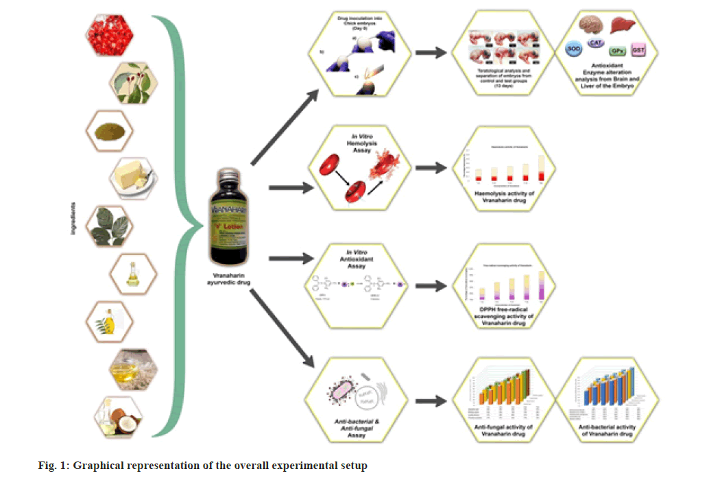 pharmaceutical-sciences-setup