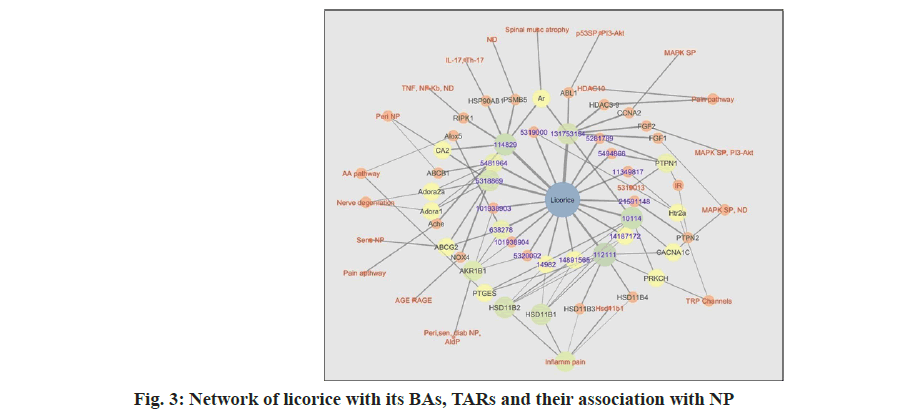 pharmaceutical-sciences-their