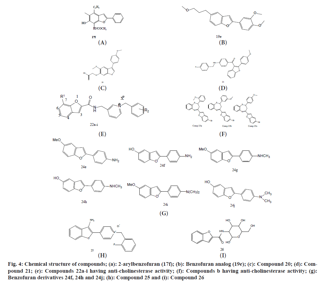 IJPS-cholinesterase