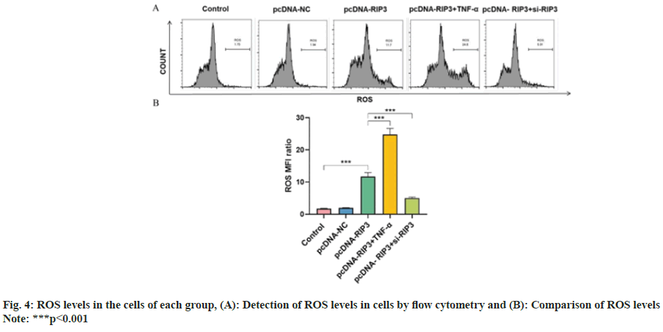 IJPS-Detection