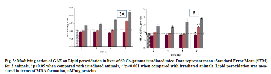 IJPS-Lipid