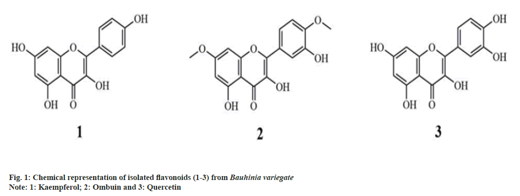 IJPS-Ombuin