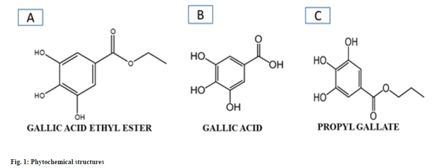 IJPS-Phytochemical