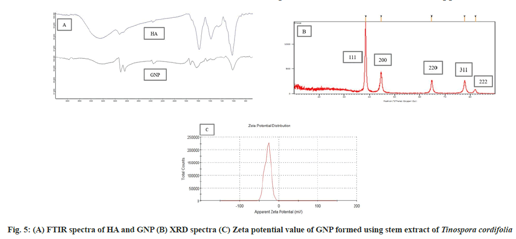 IJPS-Zeta