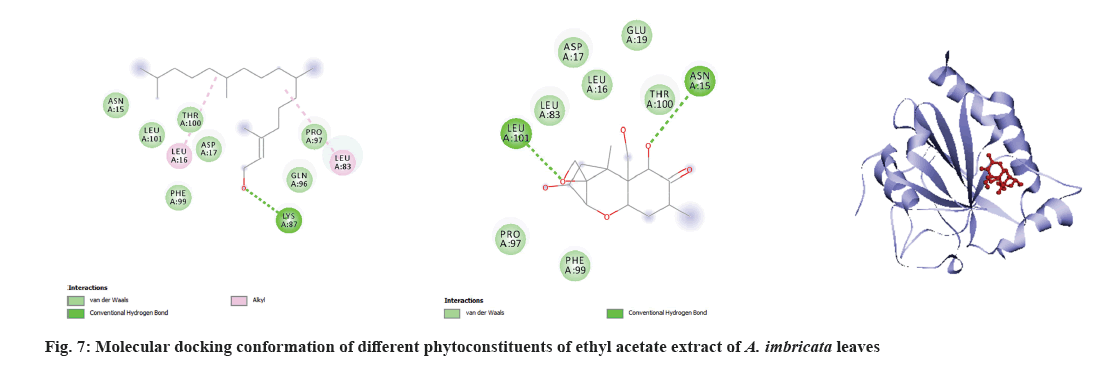 IJPS-acetate