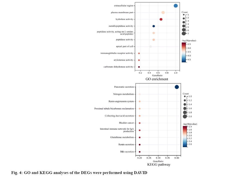 IJPS-analyses