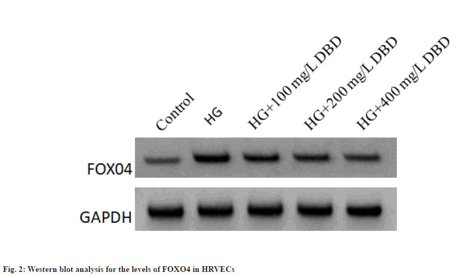 IJPS-analysis