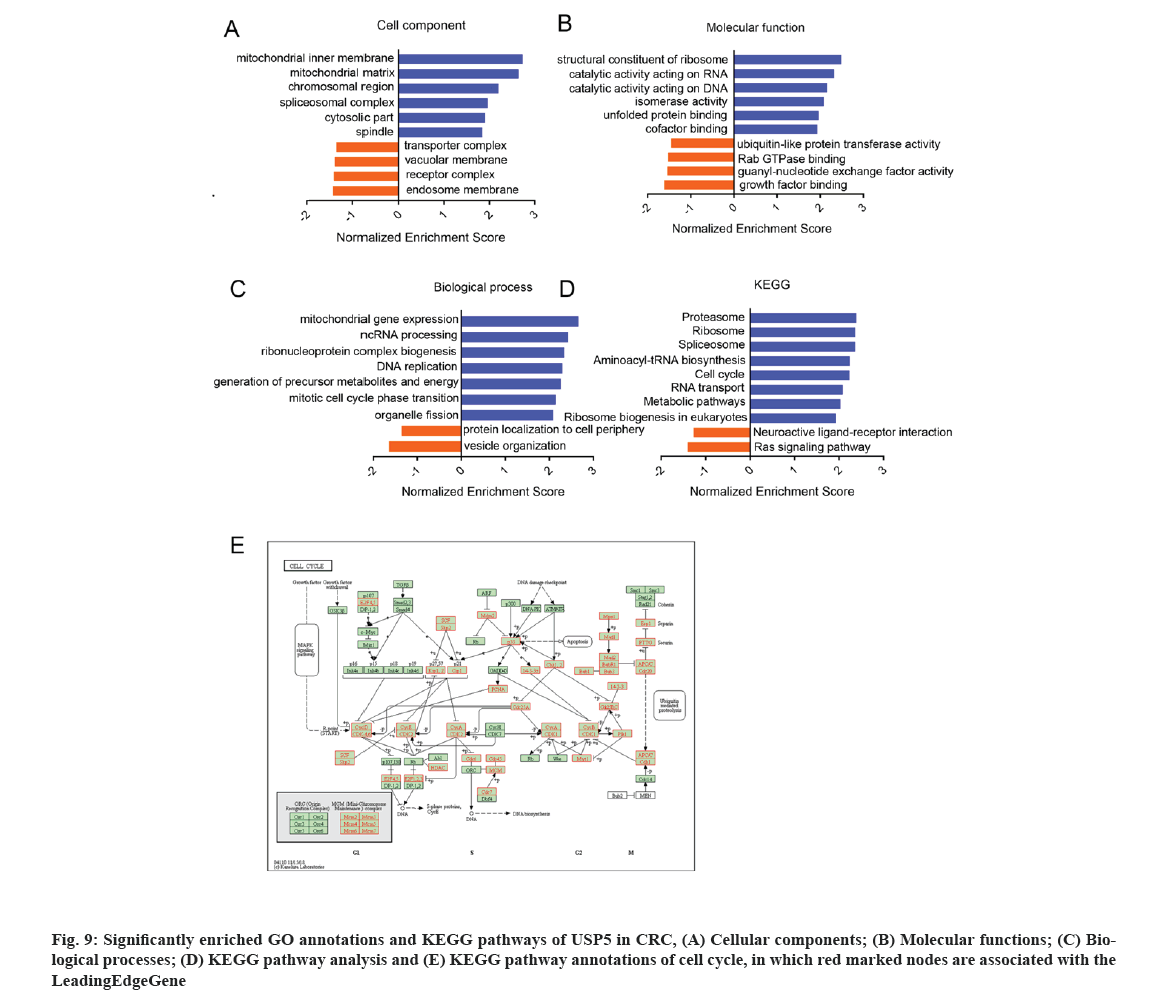 IJPS-annotations