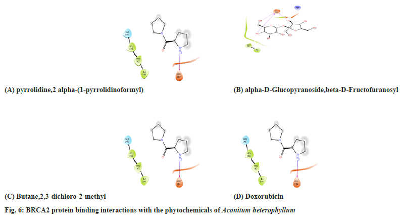 IJPS-binding