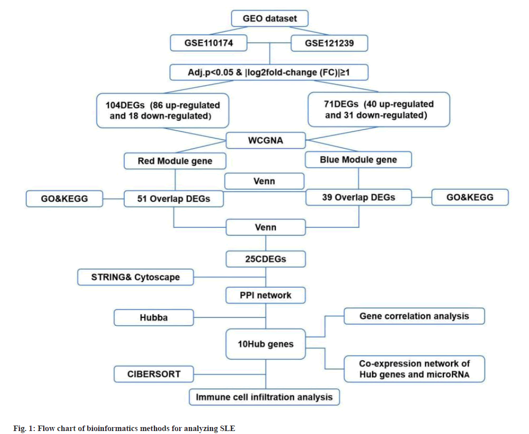 bioinformatics