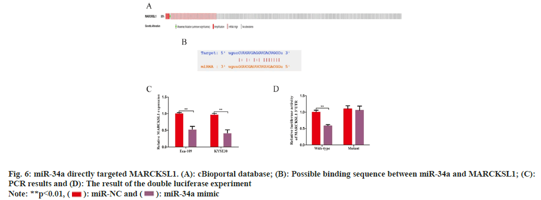 IJPS-cBioportal