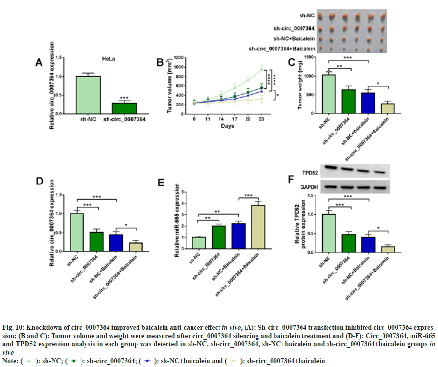 IJPS-cancer