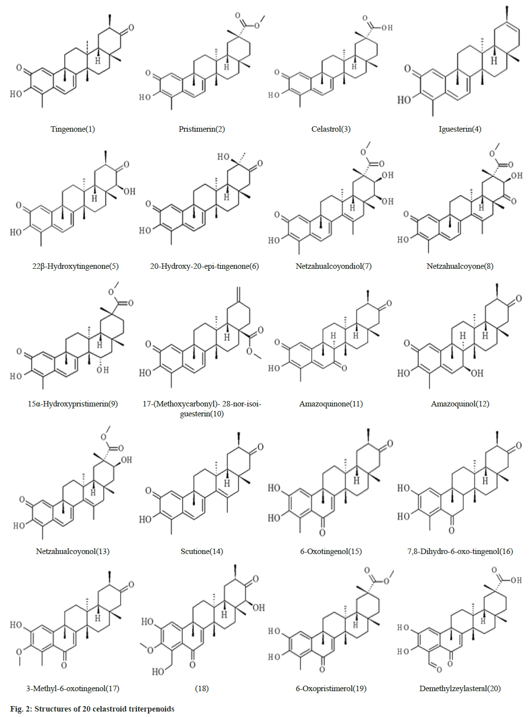 celastroid