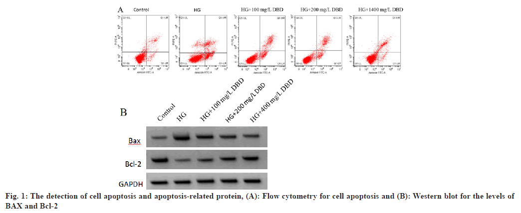 IJPS-cell