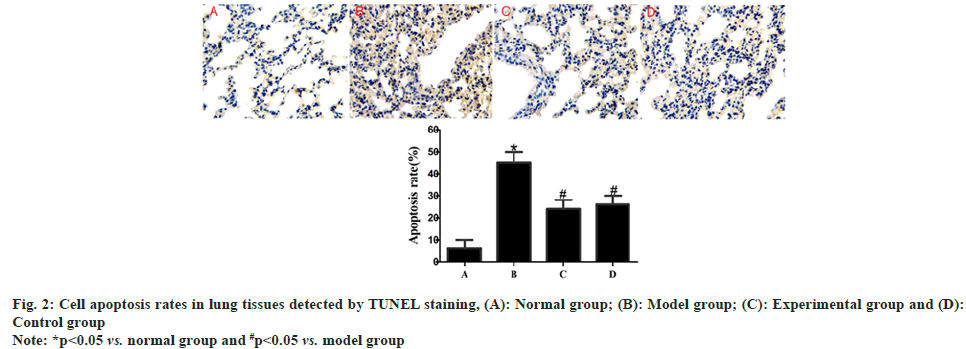 IJPS-cell