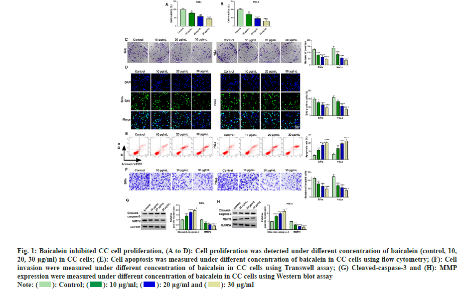 IJPS-cell