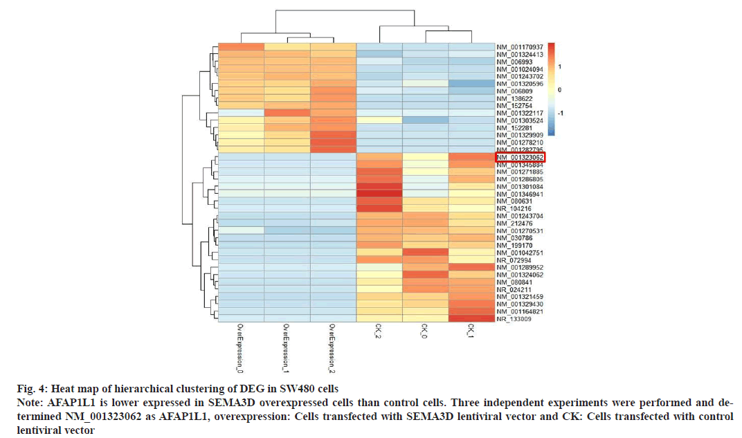 IJPS-clustering