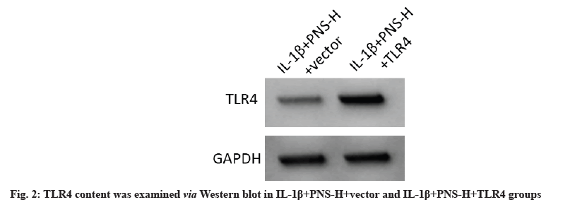 IJPS-content