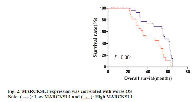 IJPS-correlated