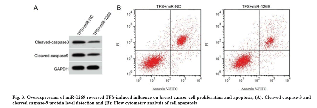 IJPS-cytometry