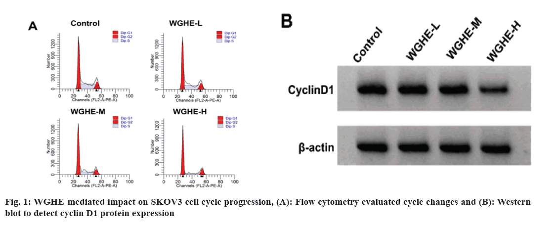 IJPS-cytometry