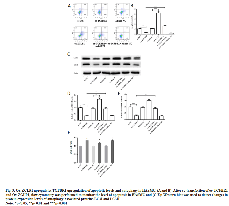 IJPS-cytometry