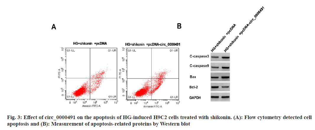 IJPS-cytometry