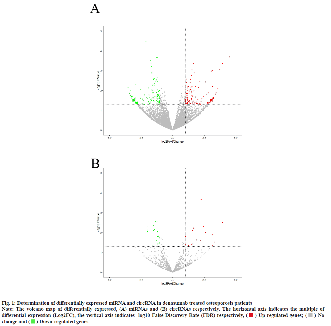 IJPS-denosumab