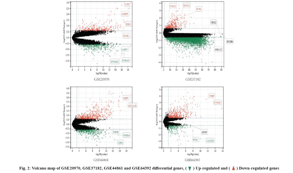 IJPS-differential