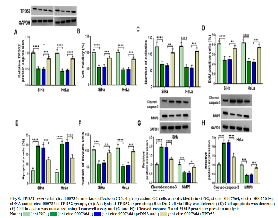 IJPS-effects