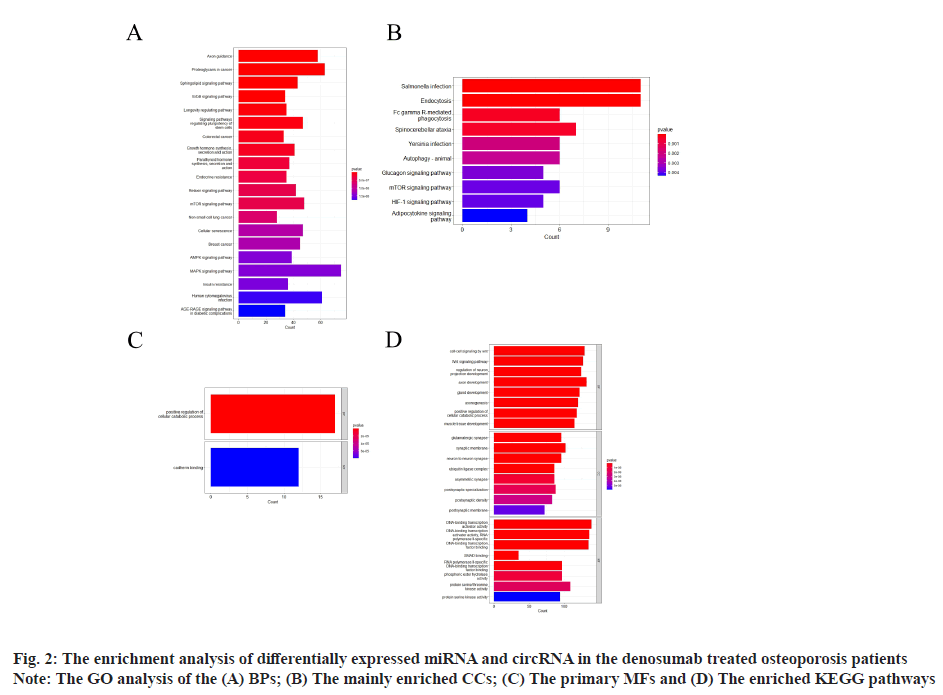 IJPS-enriched