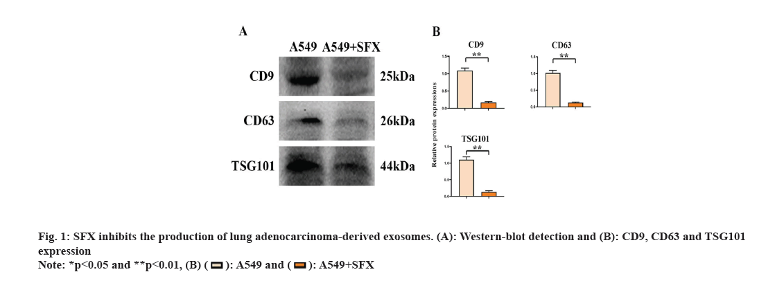 IJPS-exosomes