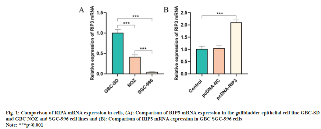 IJPS-expression