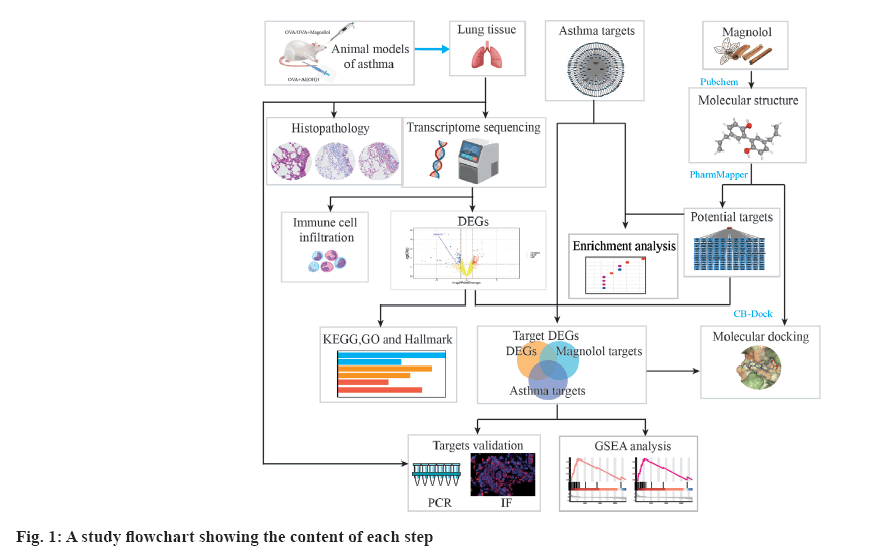 IJPS-flowchart