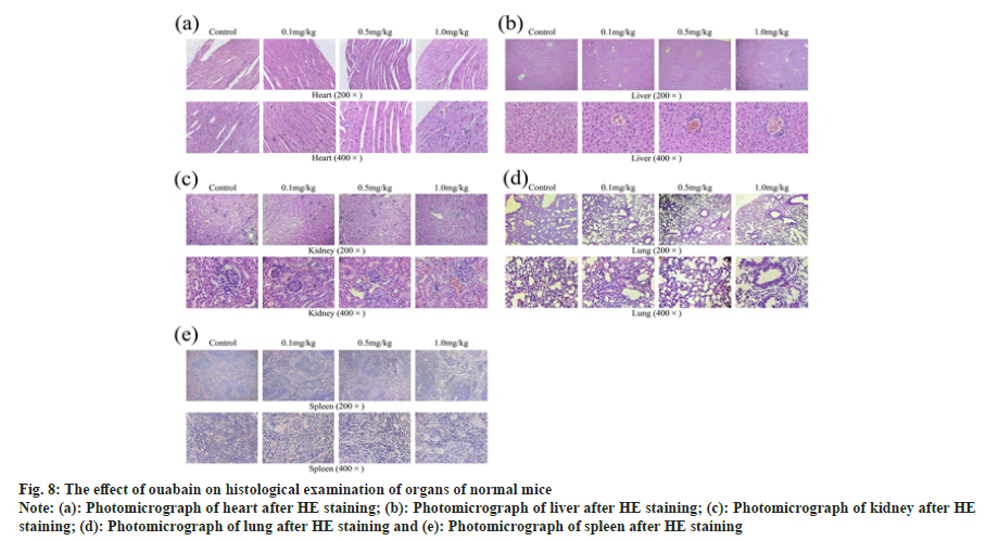 IJPS-histological