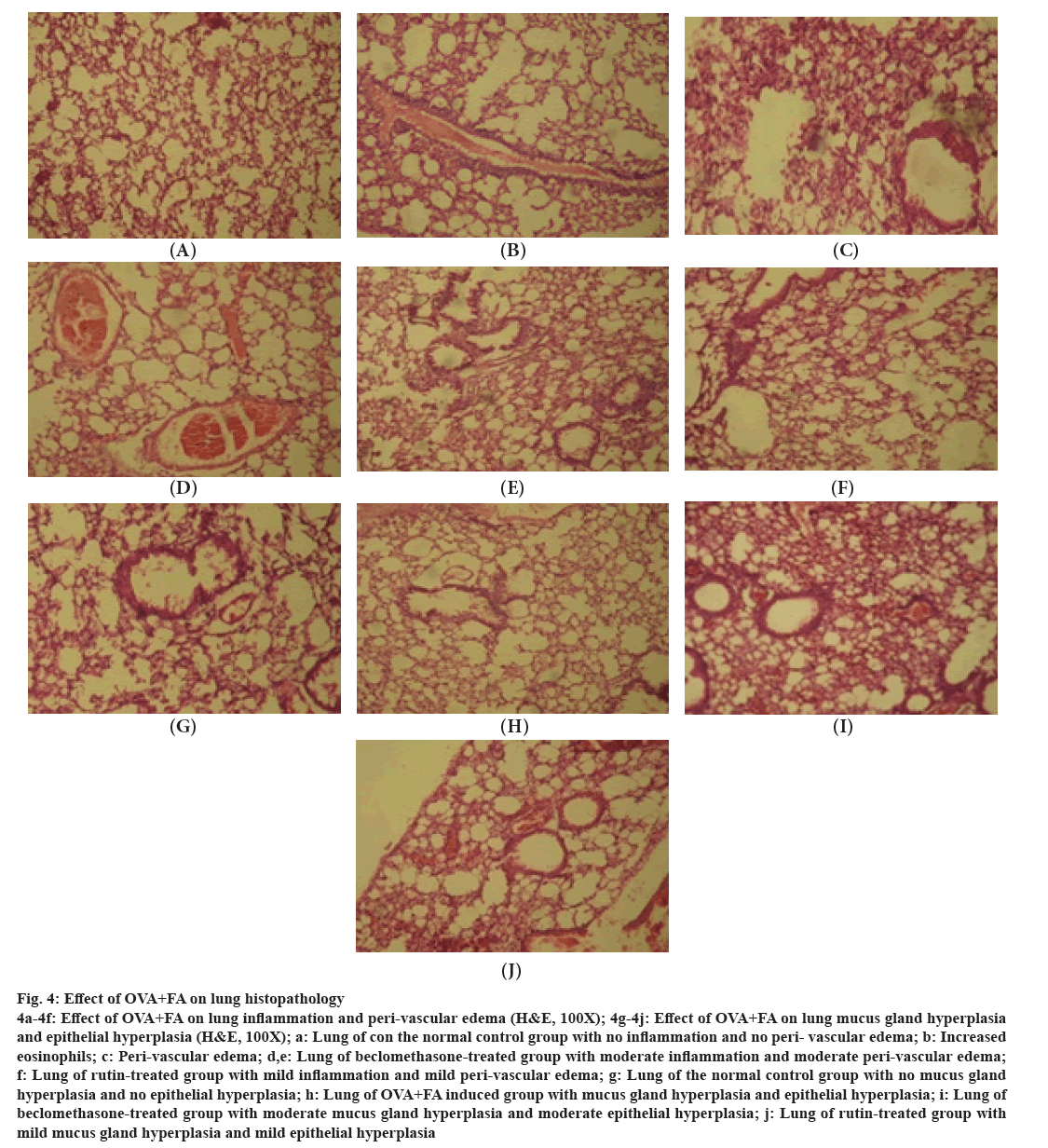 IJPS-histopathology