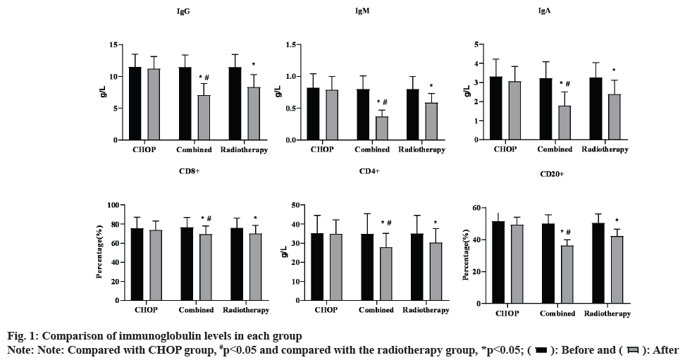 immunoglobulin