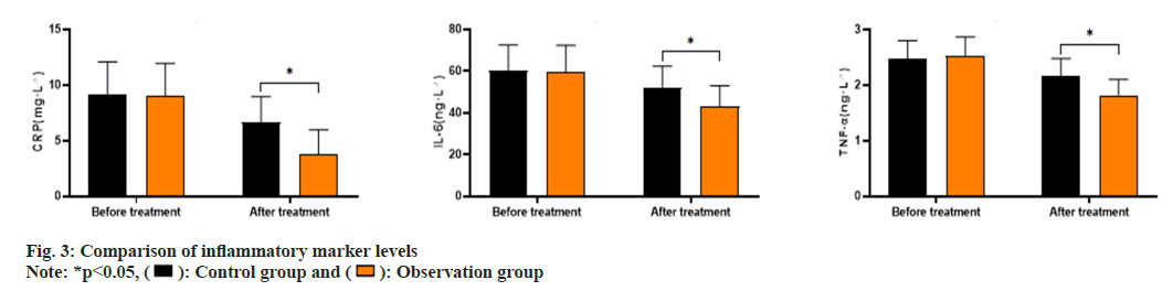 IJPS-inflammatory