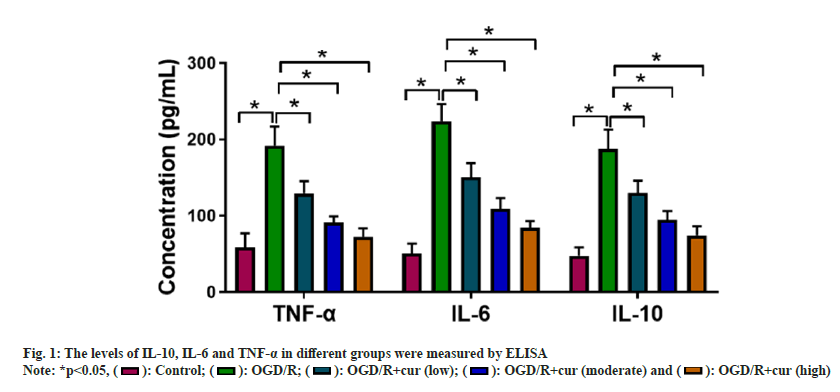 IJPS-levels