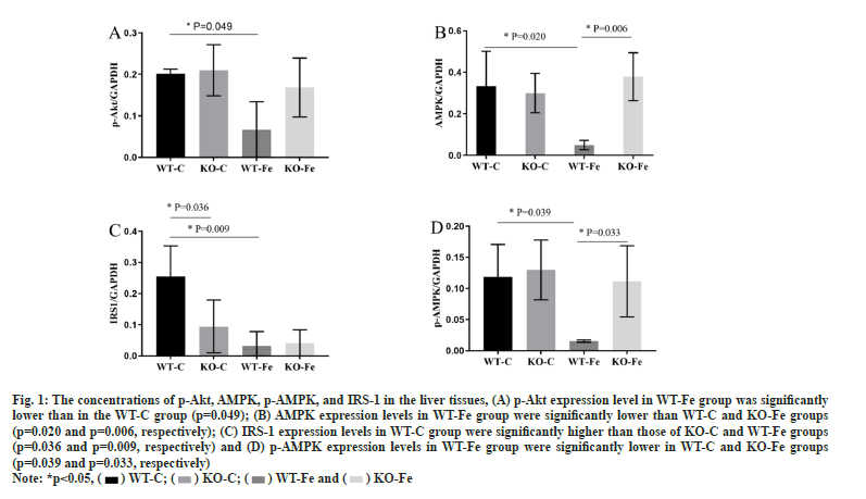 IJPS-liver-tissues