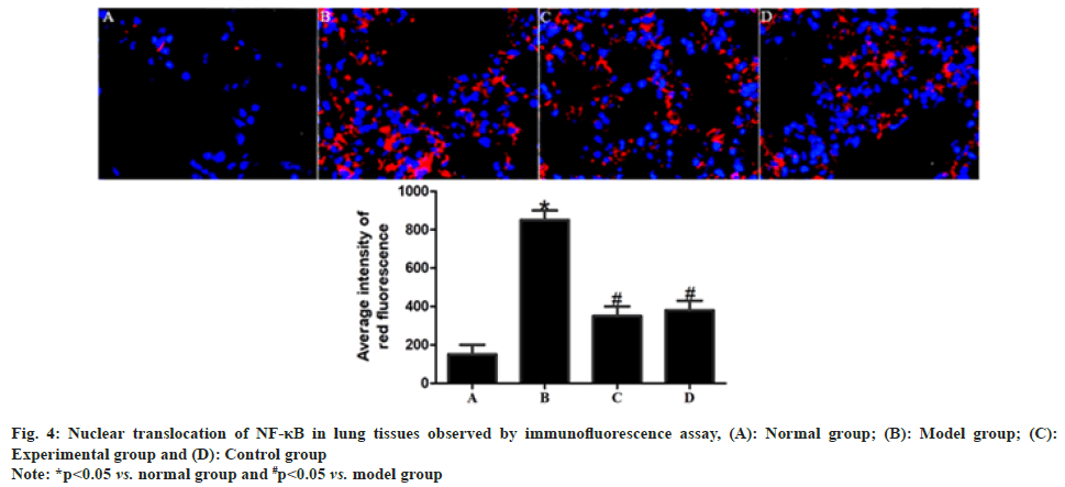 IJPS-lung