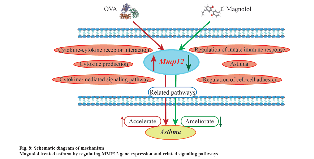 IJPS-mechanism