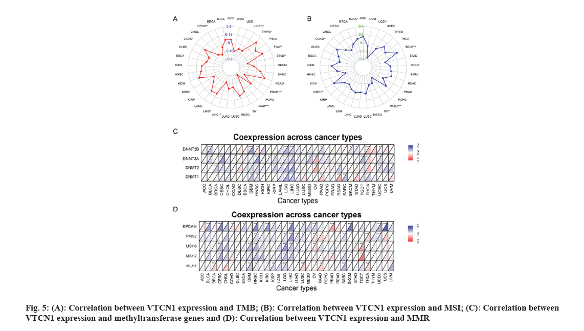 IJPS-methyltransferase