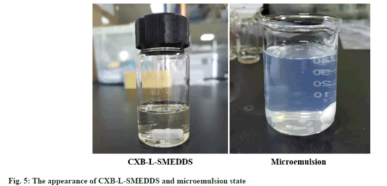 microemulsion