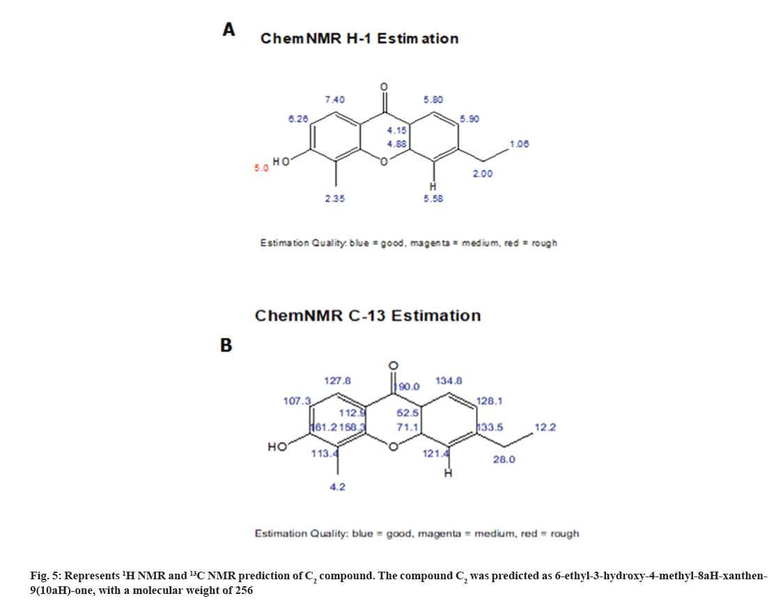 molecular