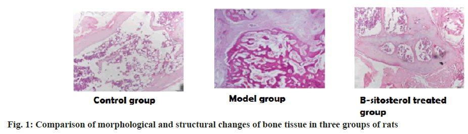 IJPS-morphological