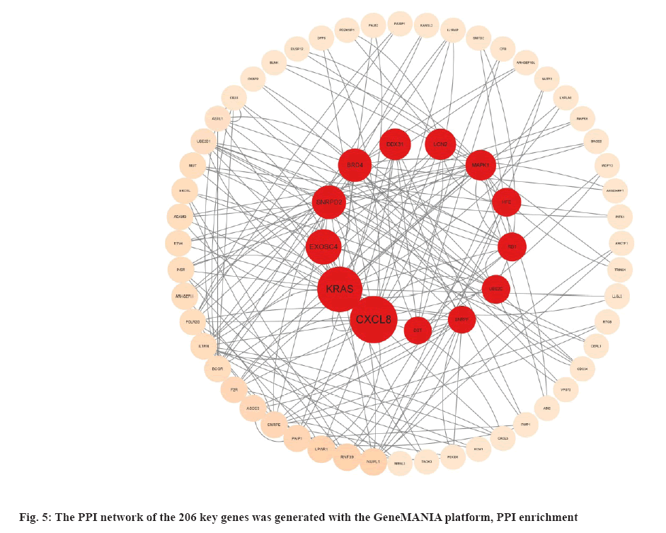 IJPS-network