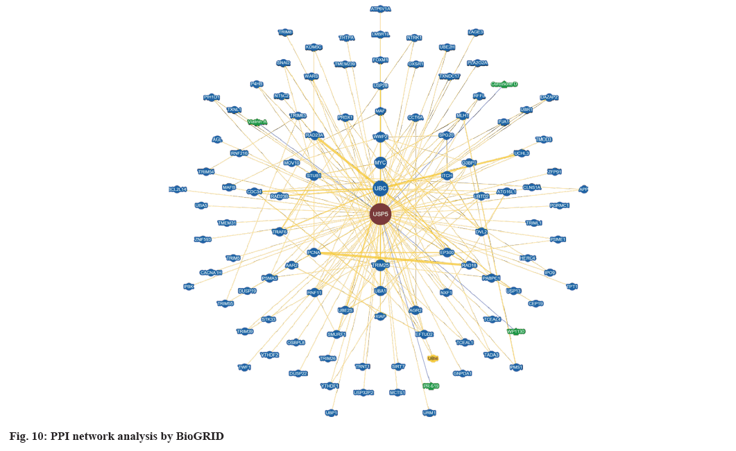 IJPS-network