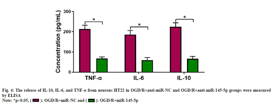 IJPS-neurons